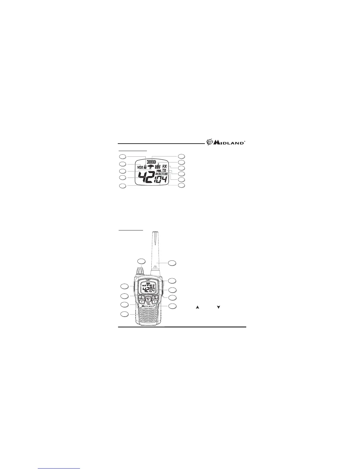 Page #4 background image