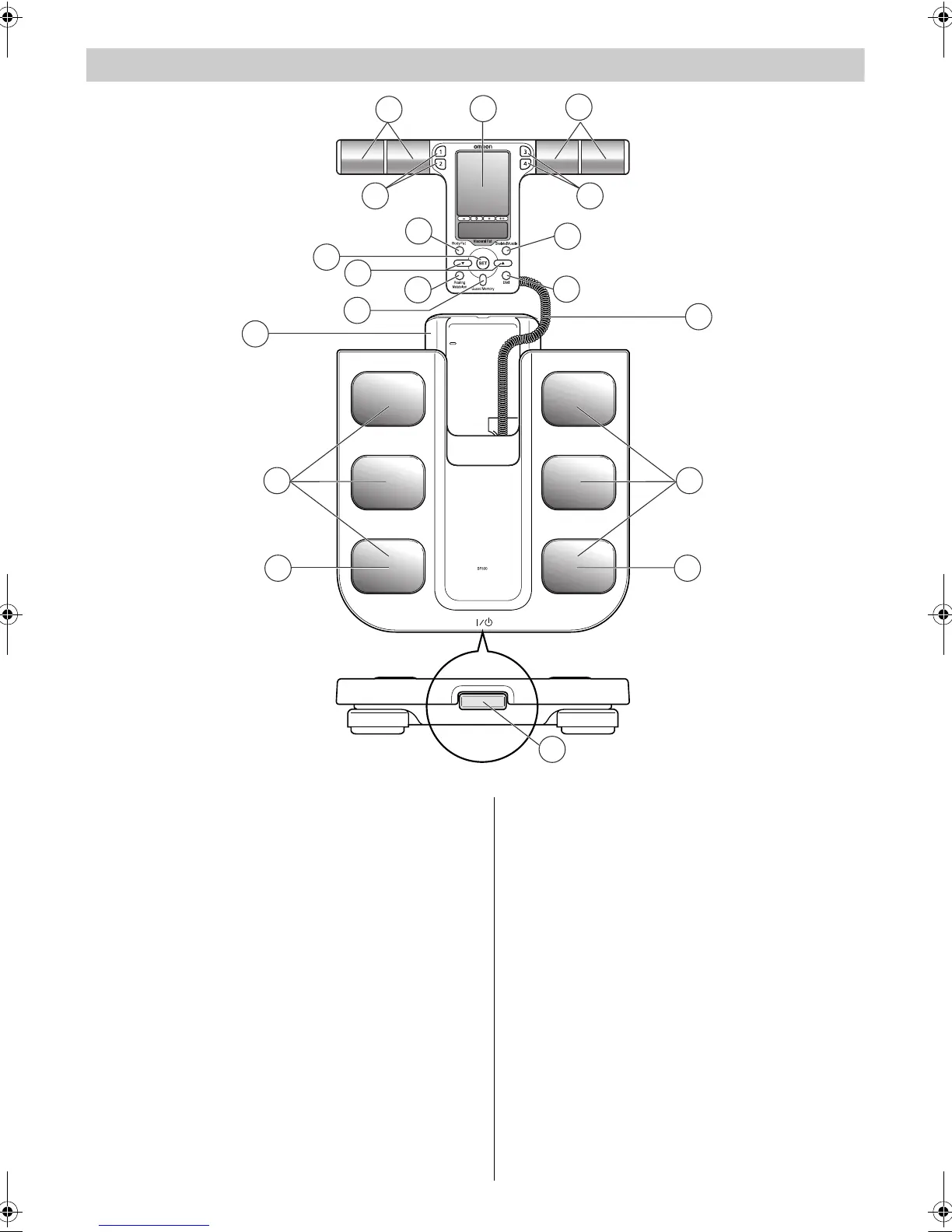 Page #10 background image