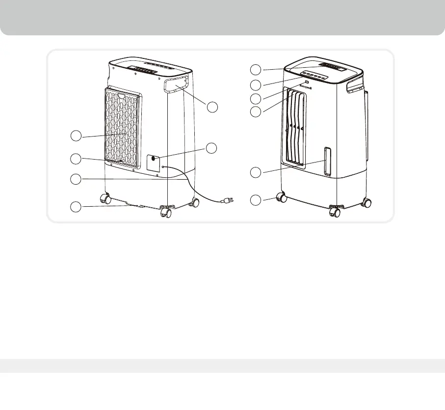 Page #29 background image