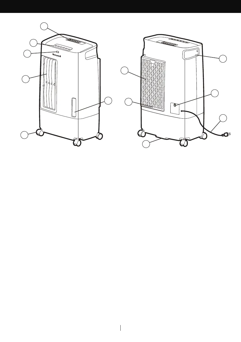 Page #10 background image