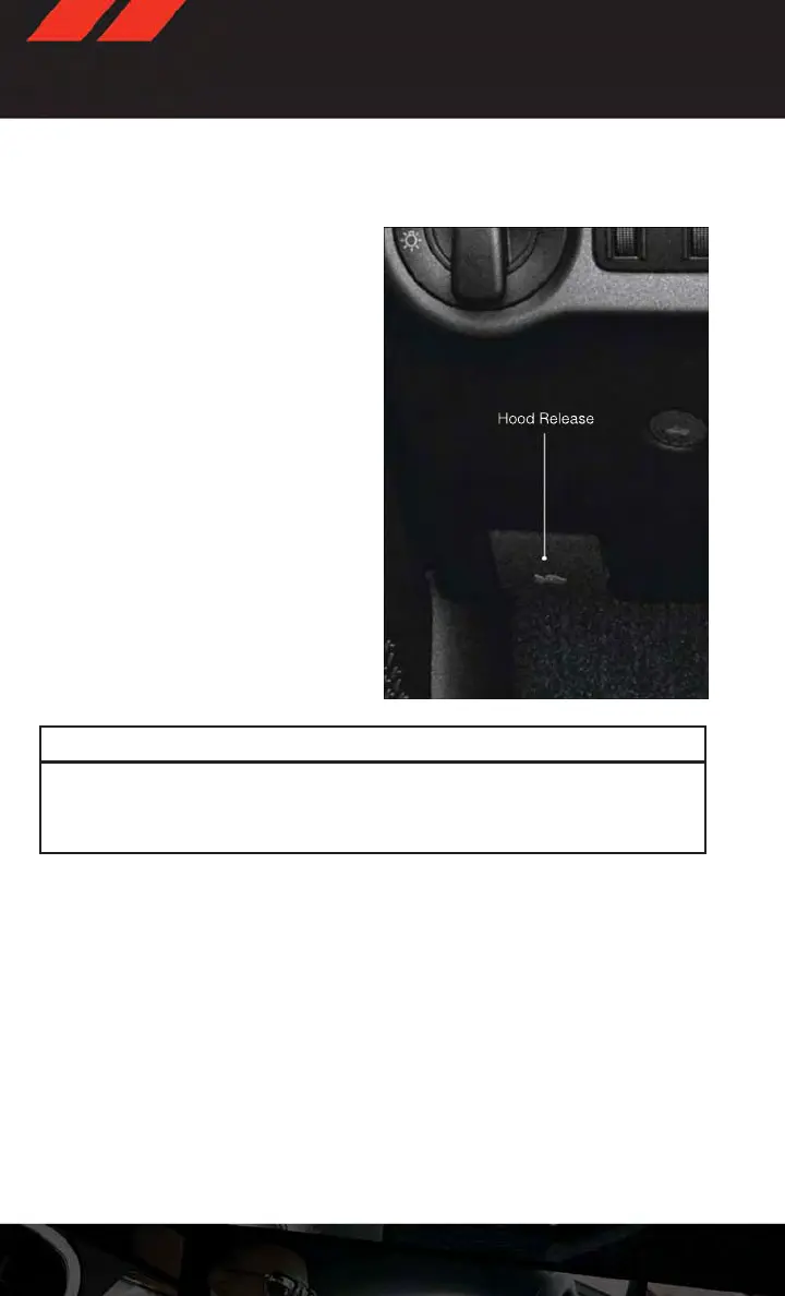 Page #102 background image