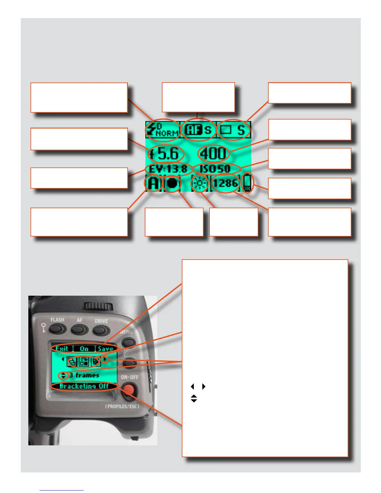 Page #10 background image