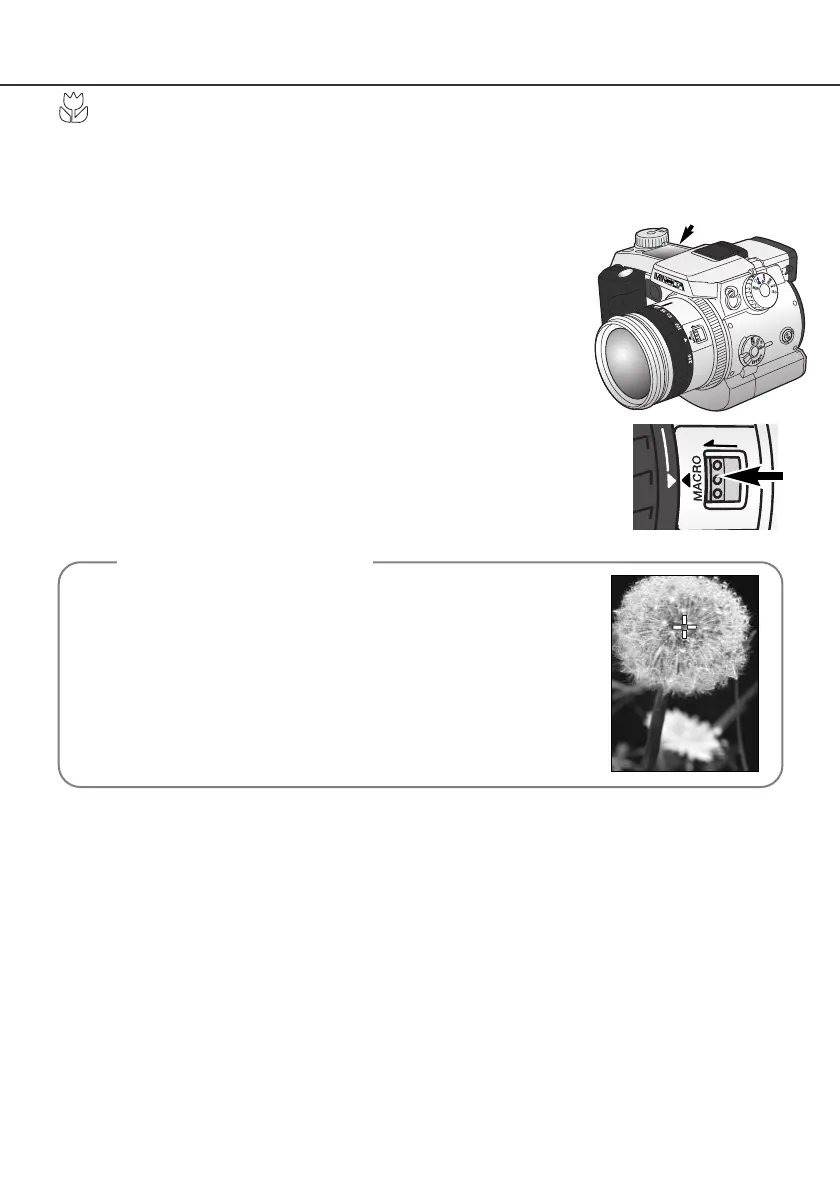 Page #77 background image
