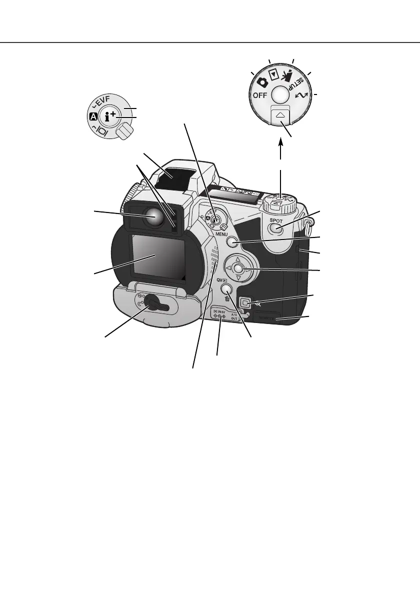 Page #13 background image