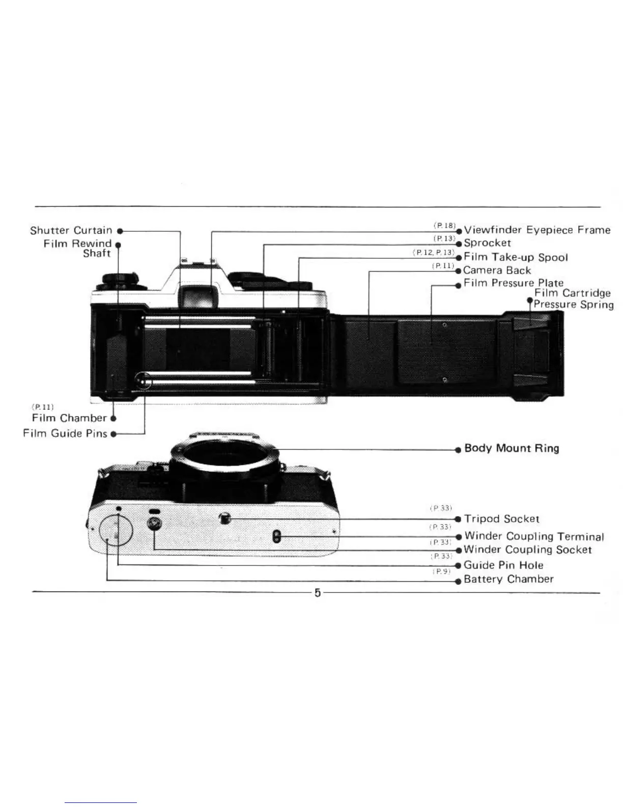 Page #6 background image