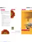Preview: Brochure