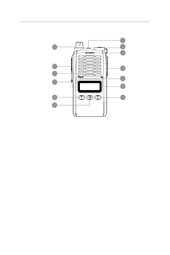 Page #13 background image