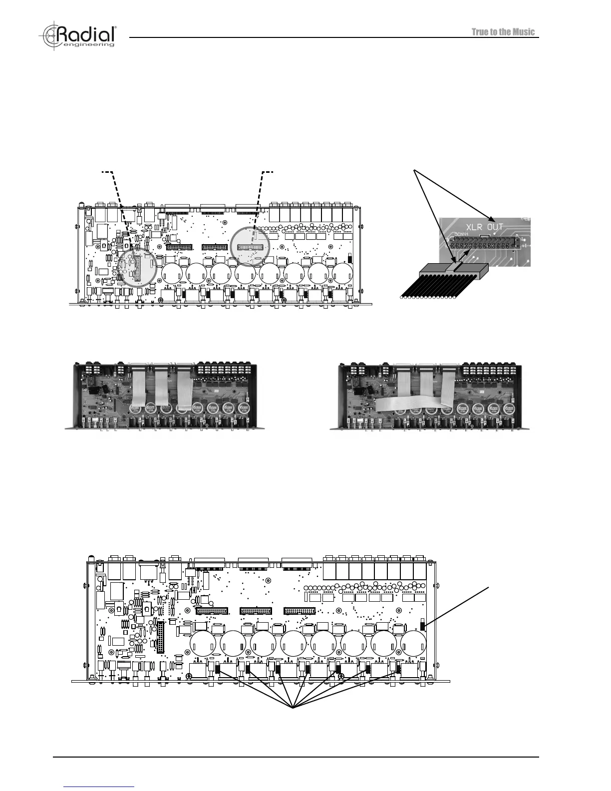 Page #10 background image