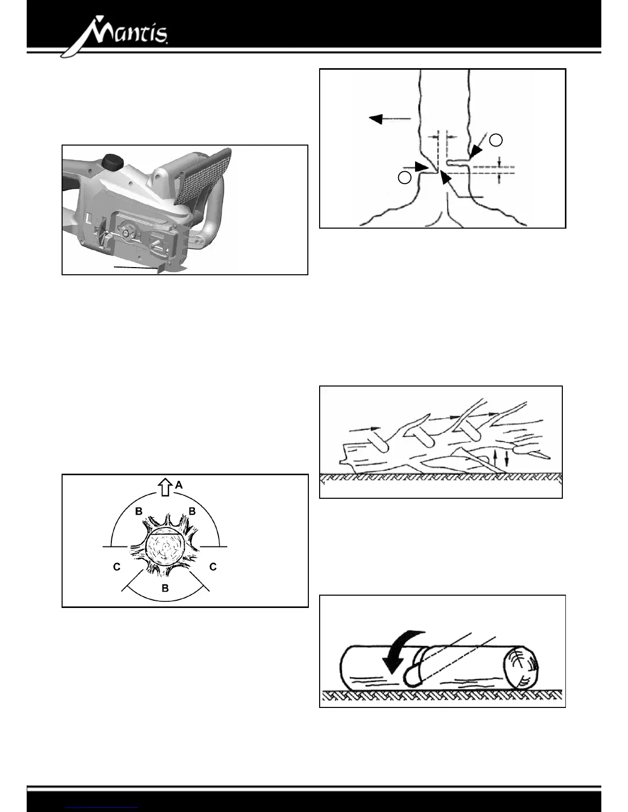 Page #12 background image