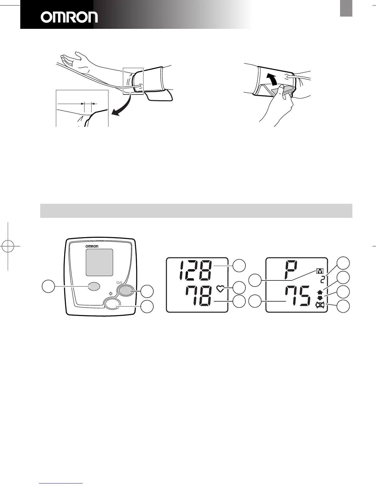 Page #5 background image