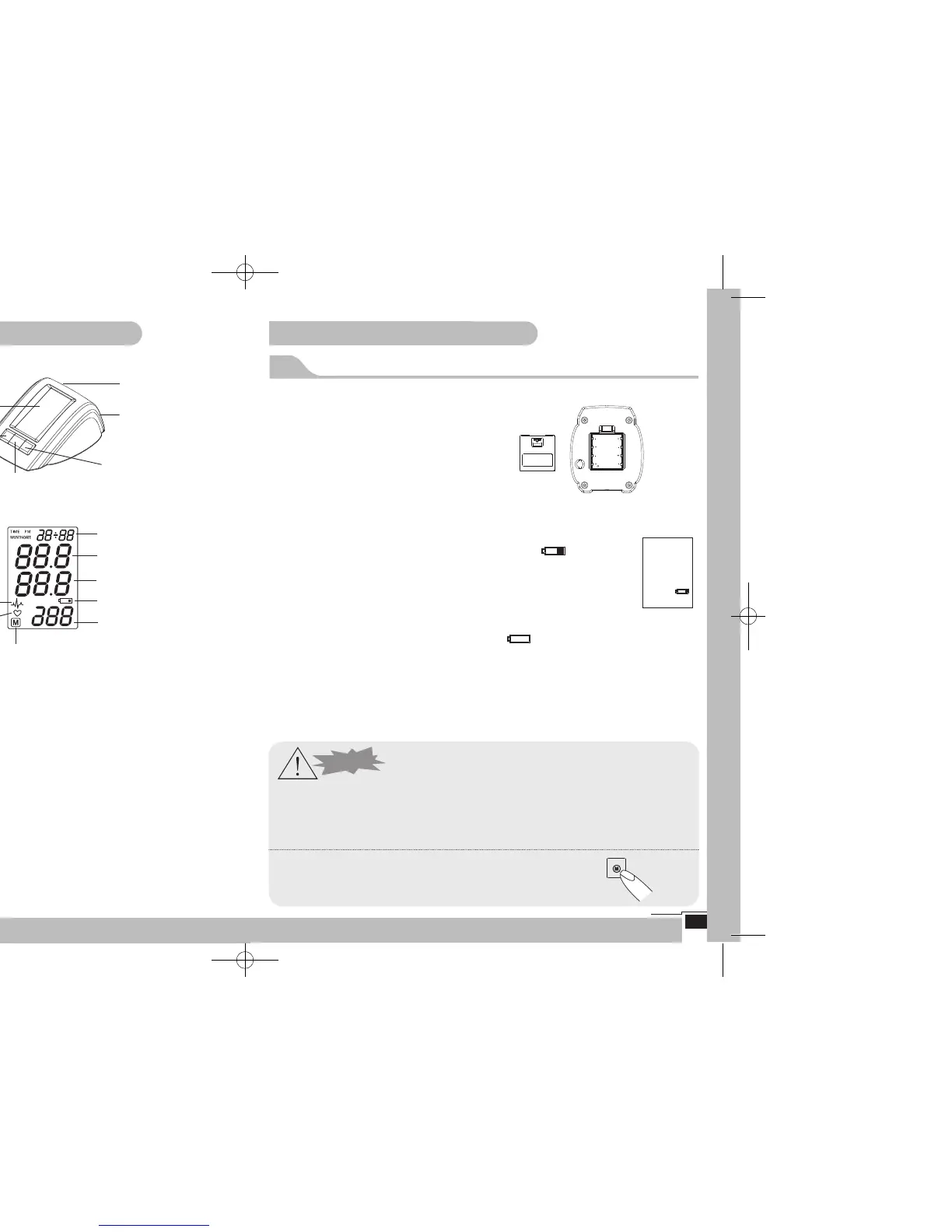 Page #5 background image