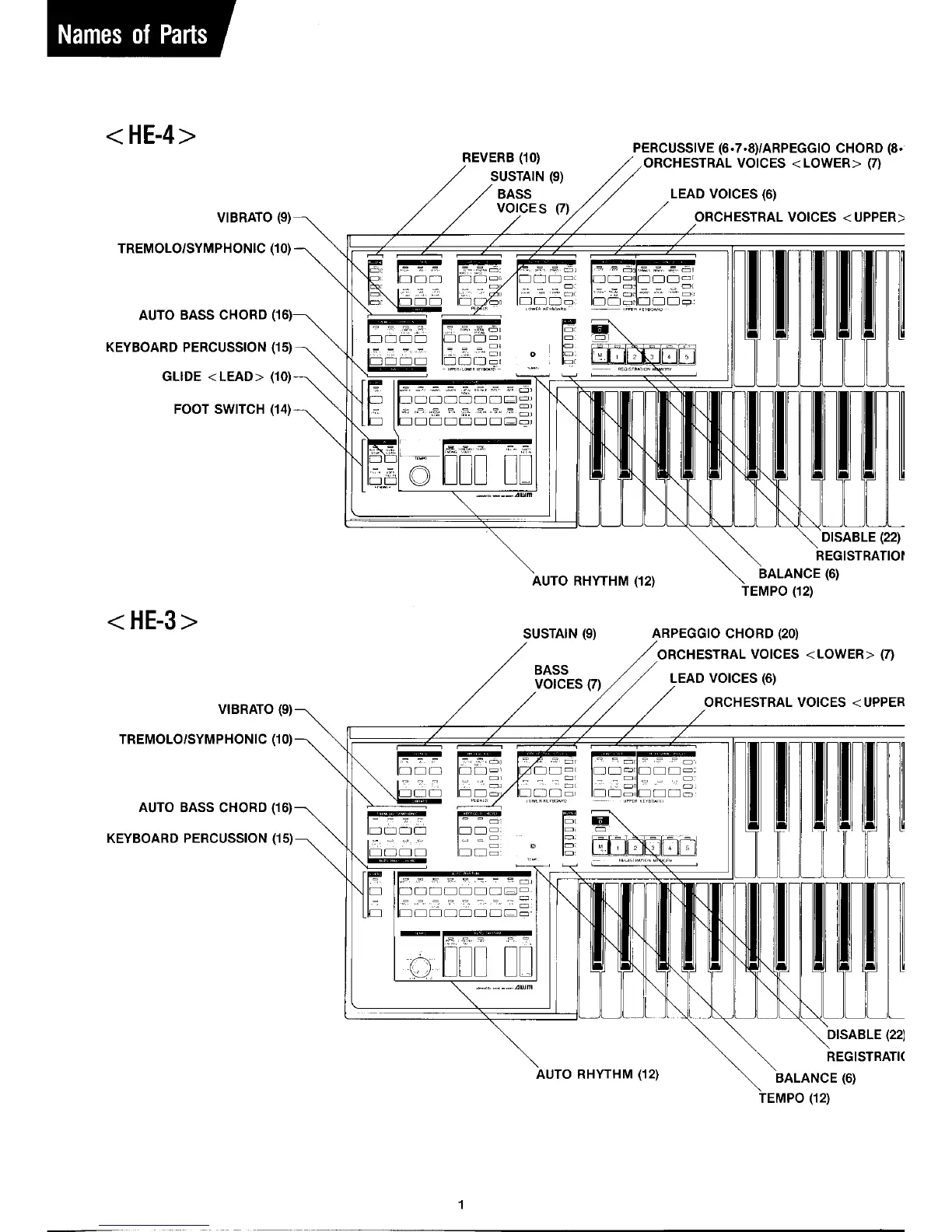 Page #3 background image