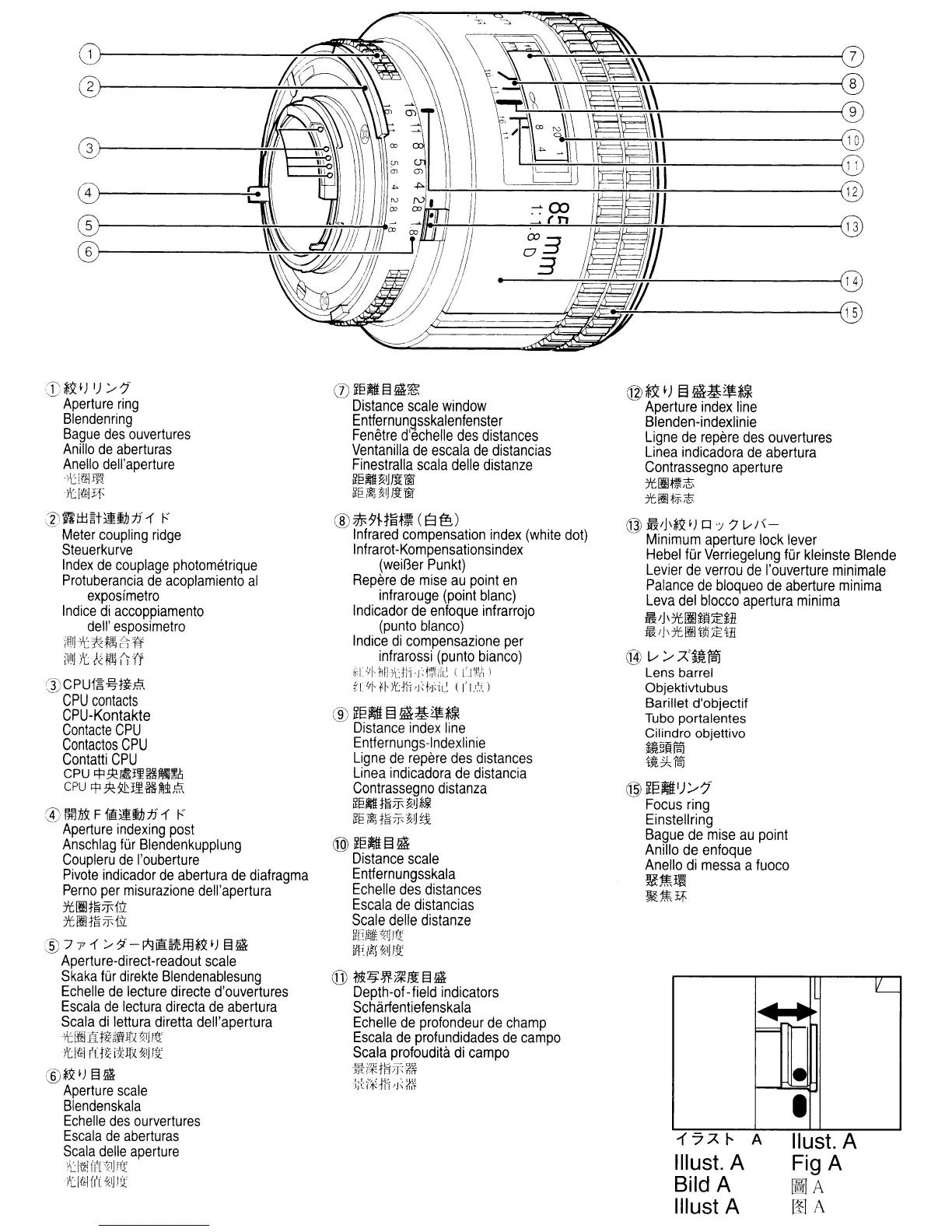 Page #2 background image