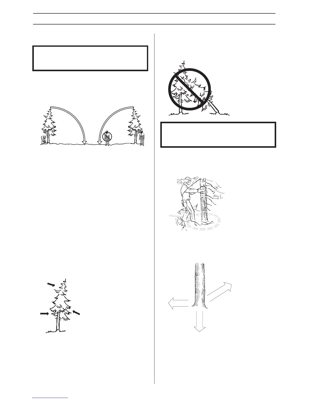 Page #64 background image