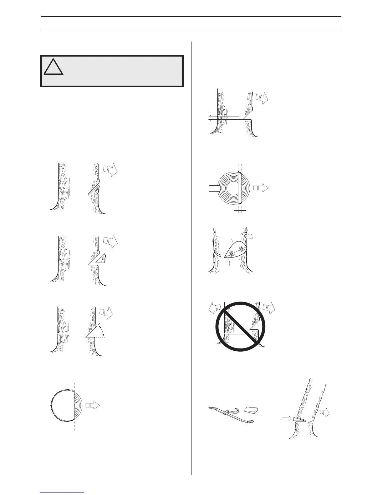 Page #65 background image