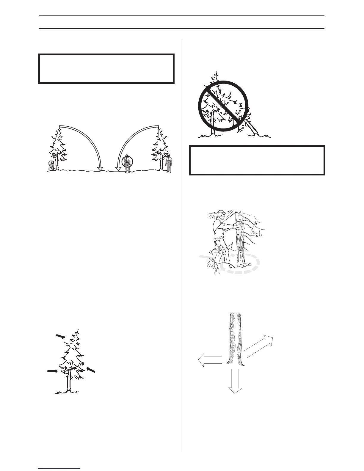Page #64 background image