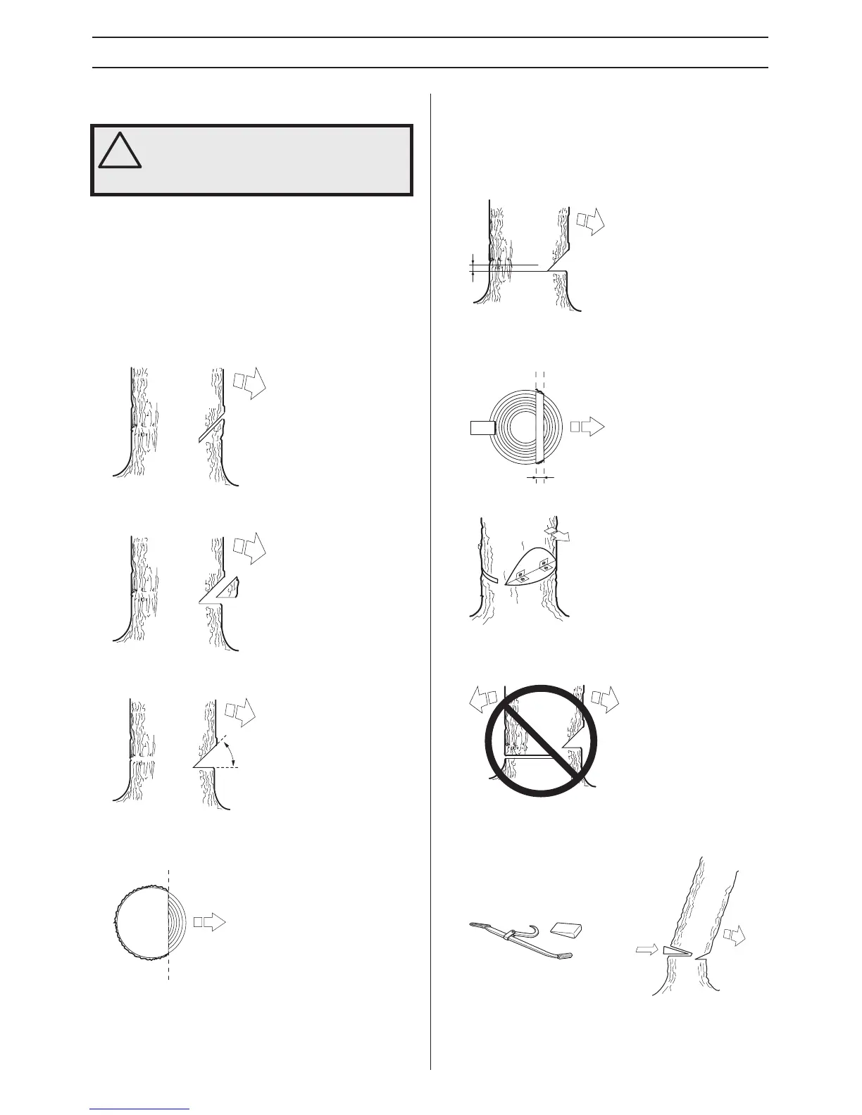 Page #65 background image