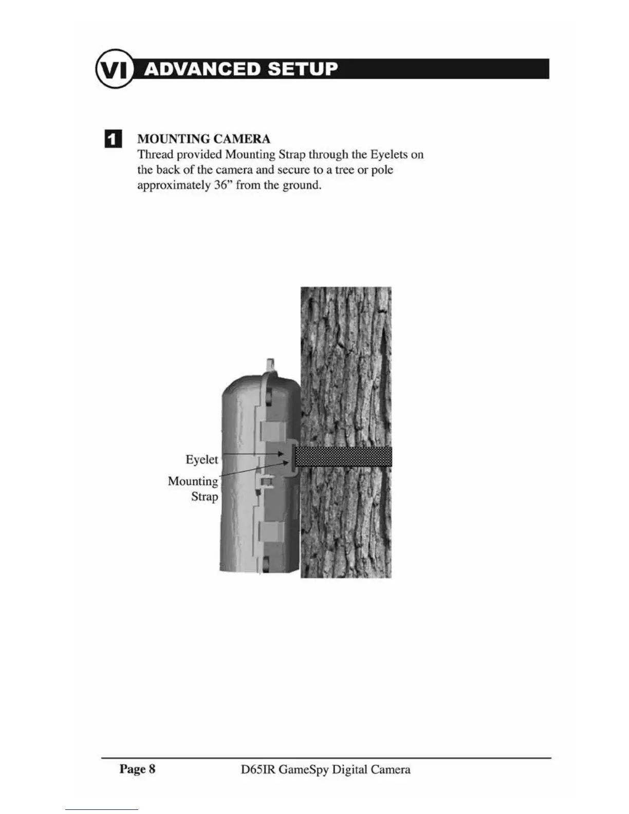 Page #8 background image