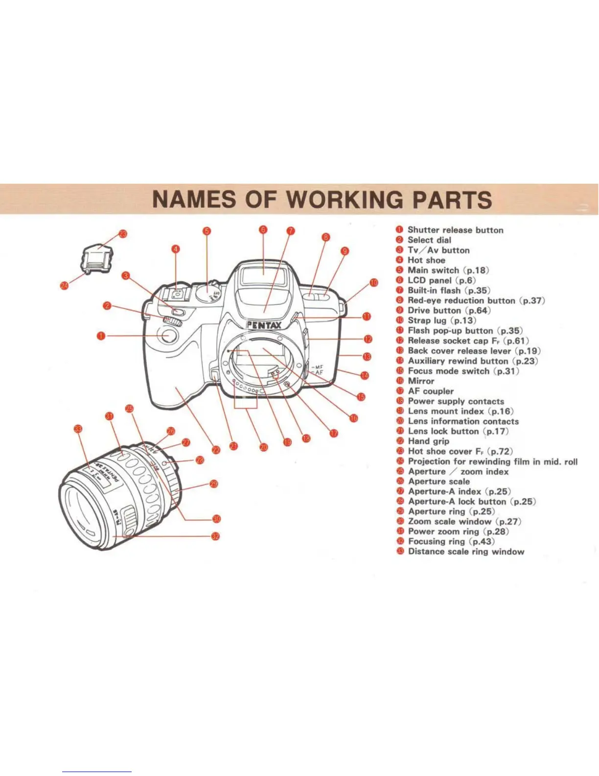 Page #3 background image