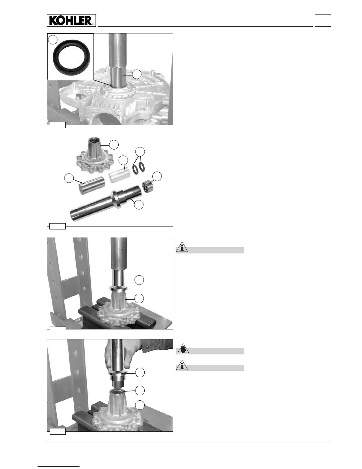 Page #43 background image