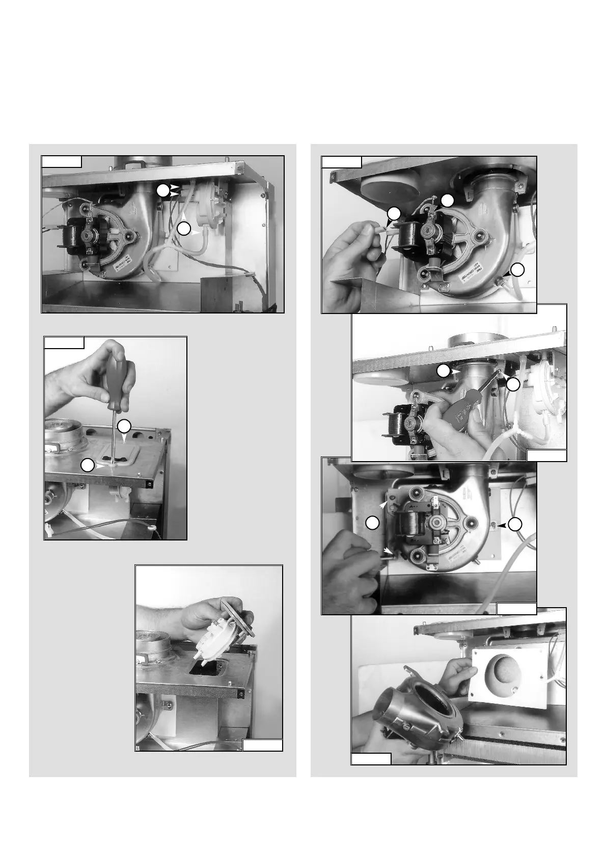Page #31 background image