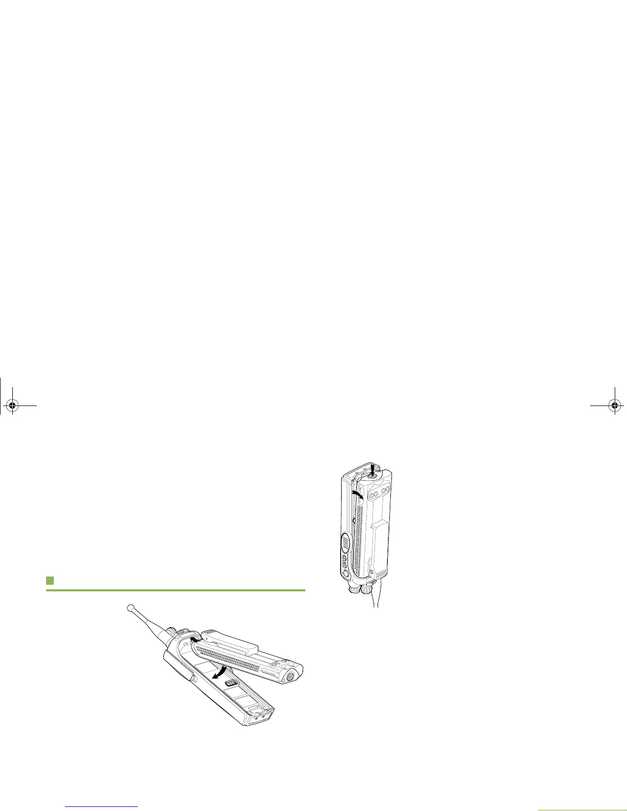 Page #13 background image