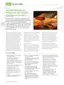 Preview: Datasheet