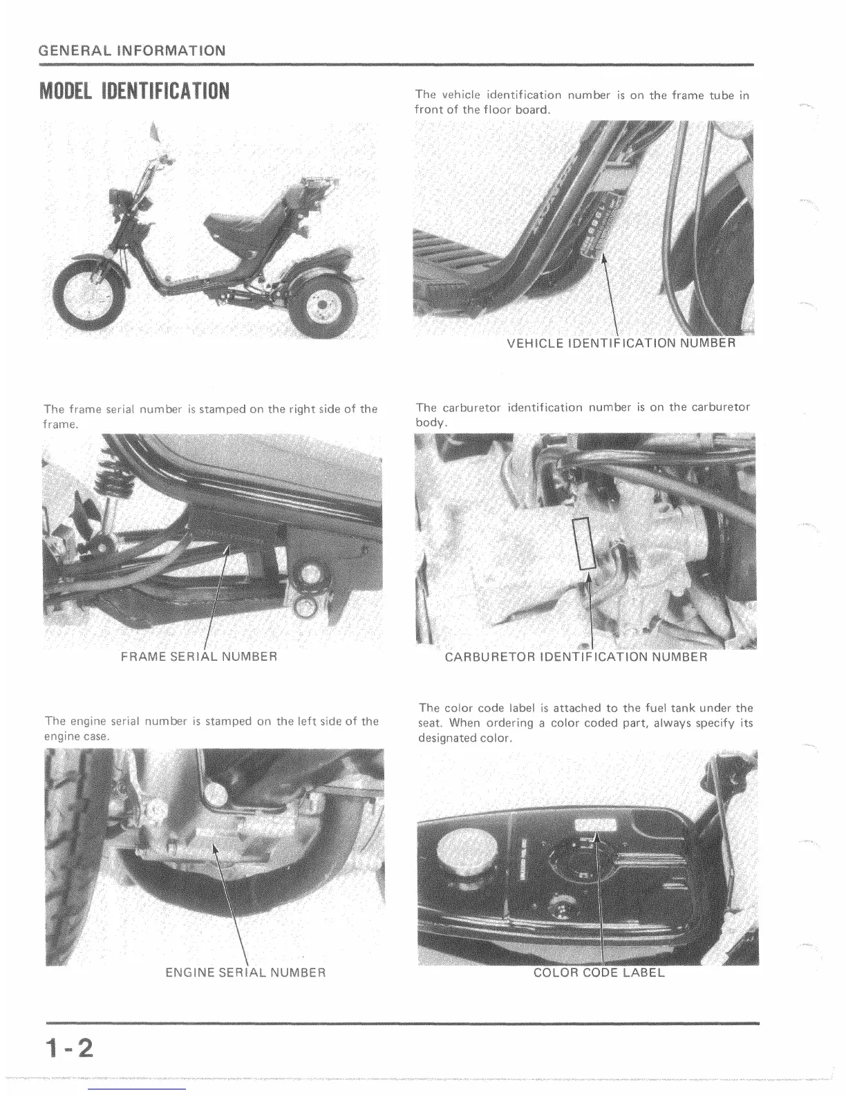 Page #3 background image
