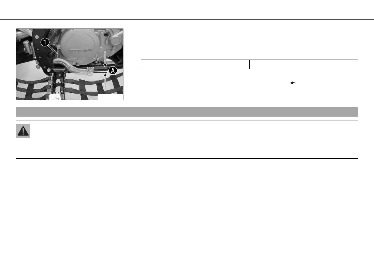 Page #117 background image