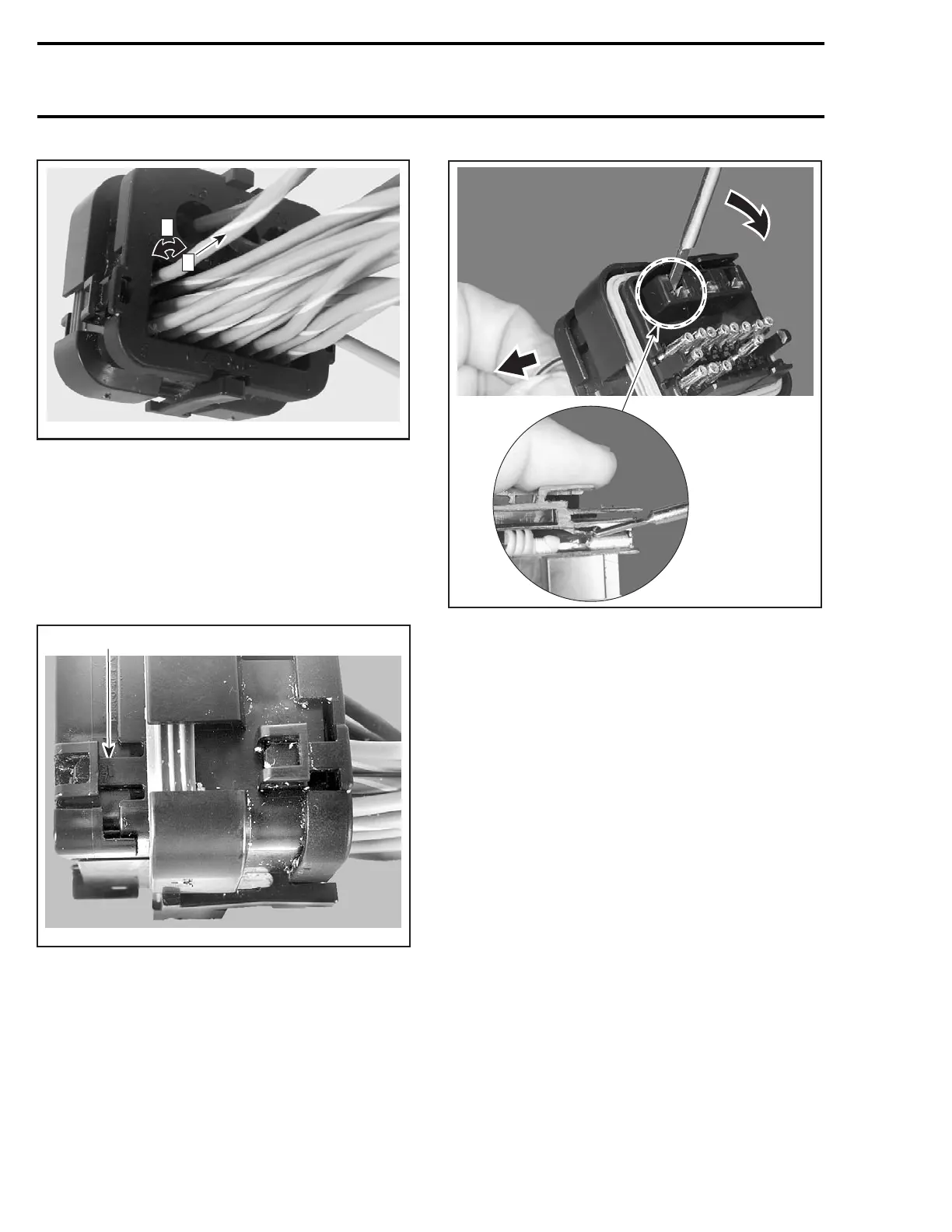 Page #305 background image