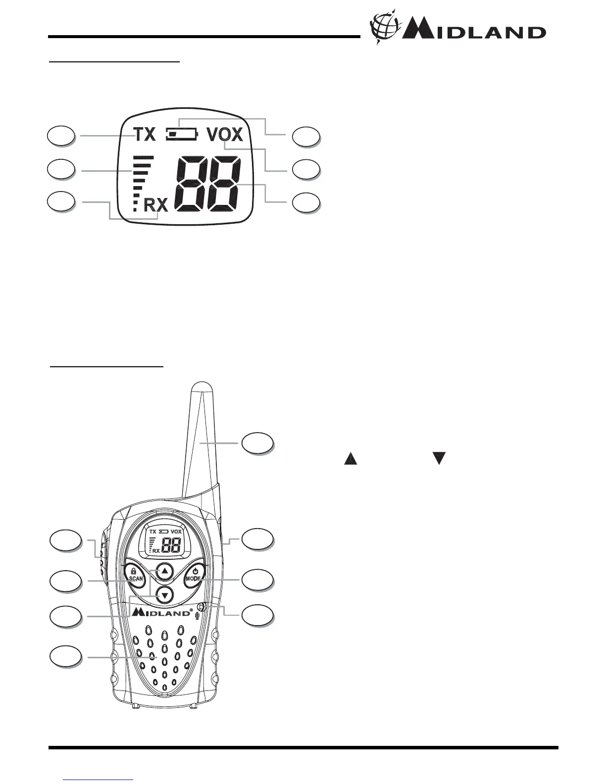 Page #5 background image