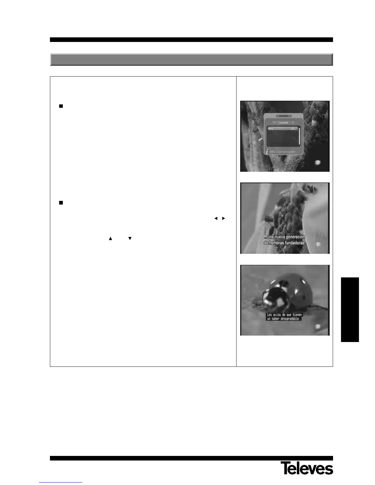 Page #51 background image