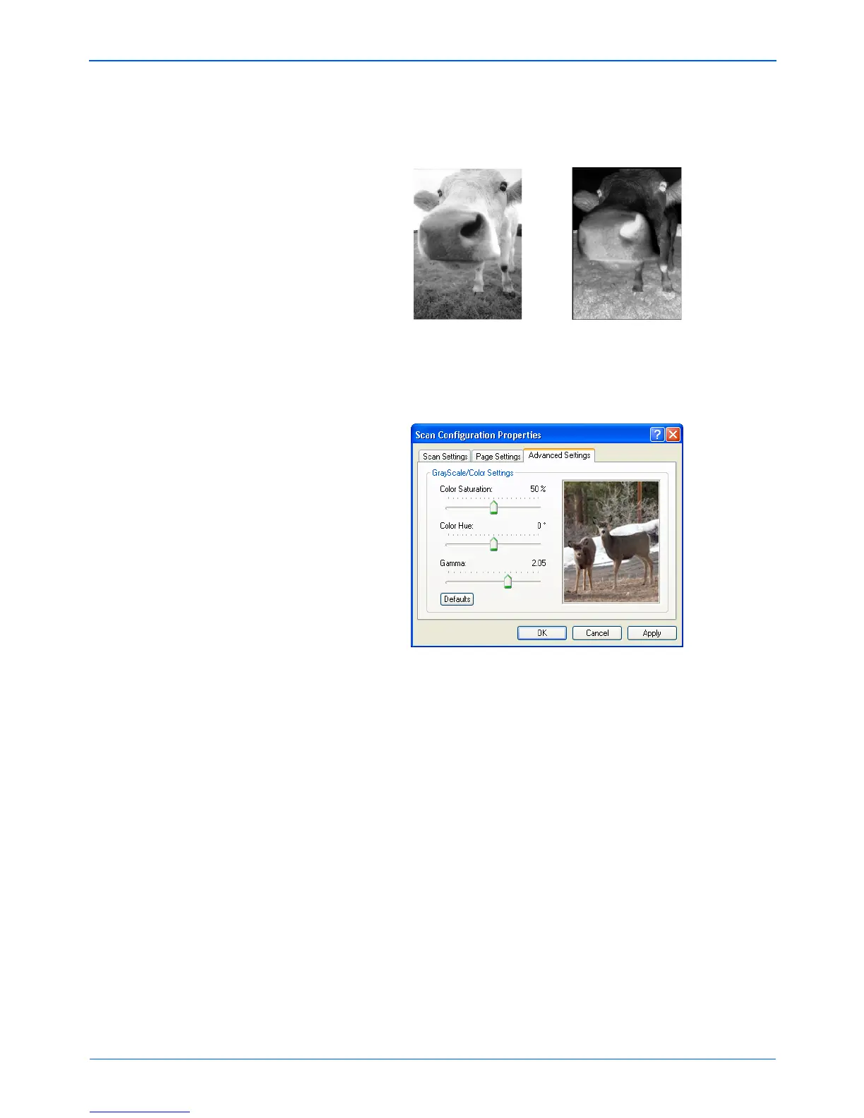 Page #63 background image