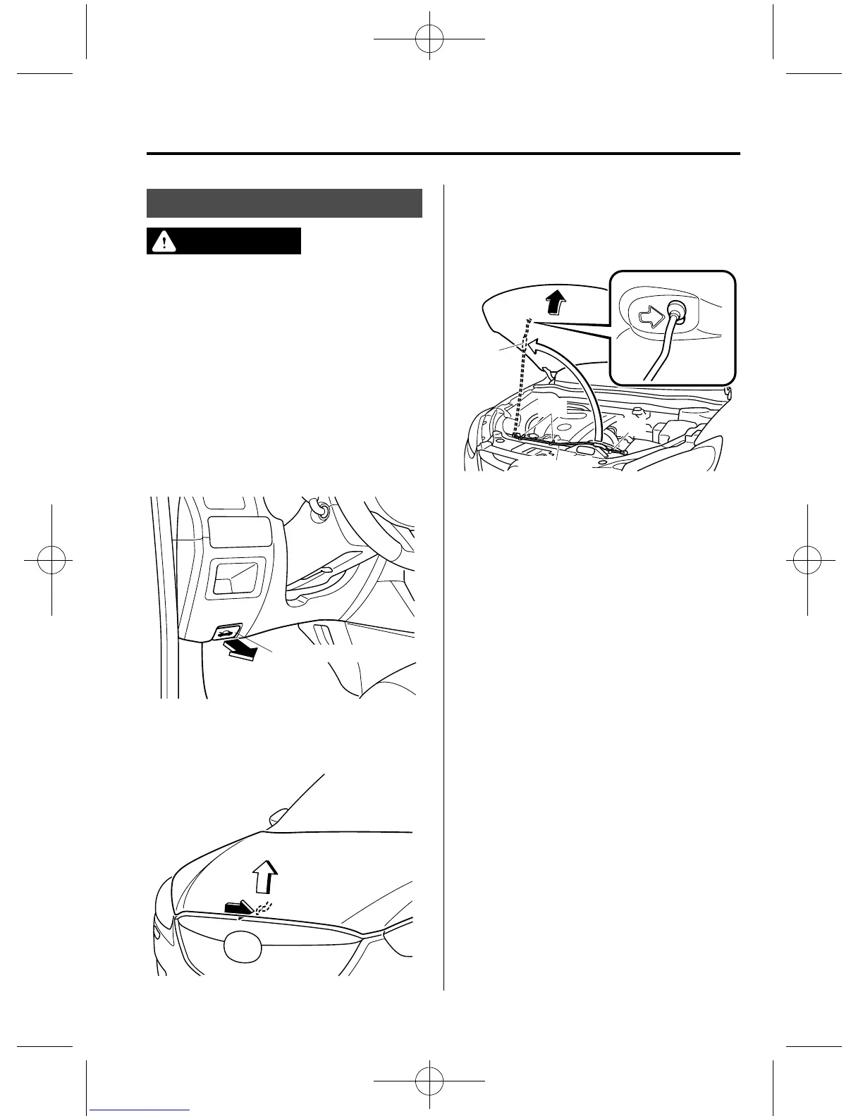 Page #333 background image