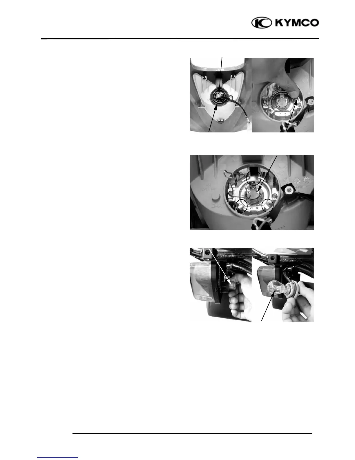 Page #239 background image