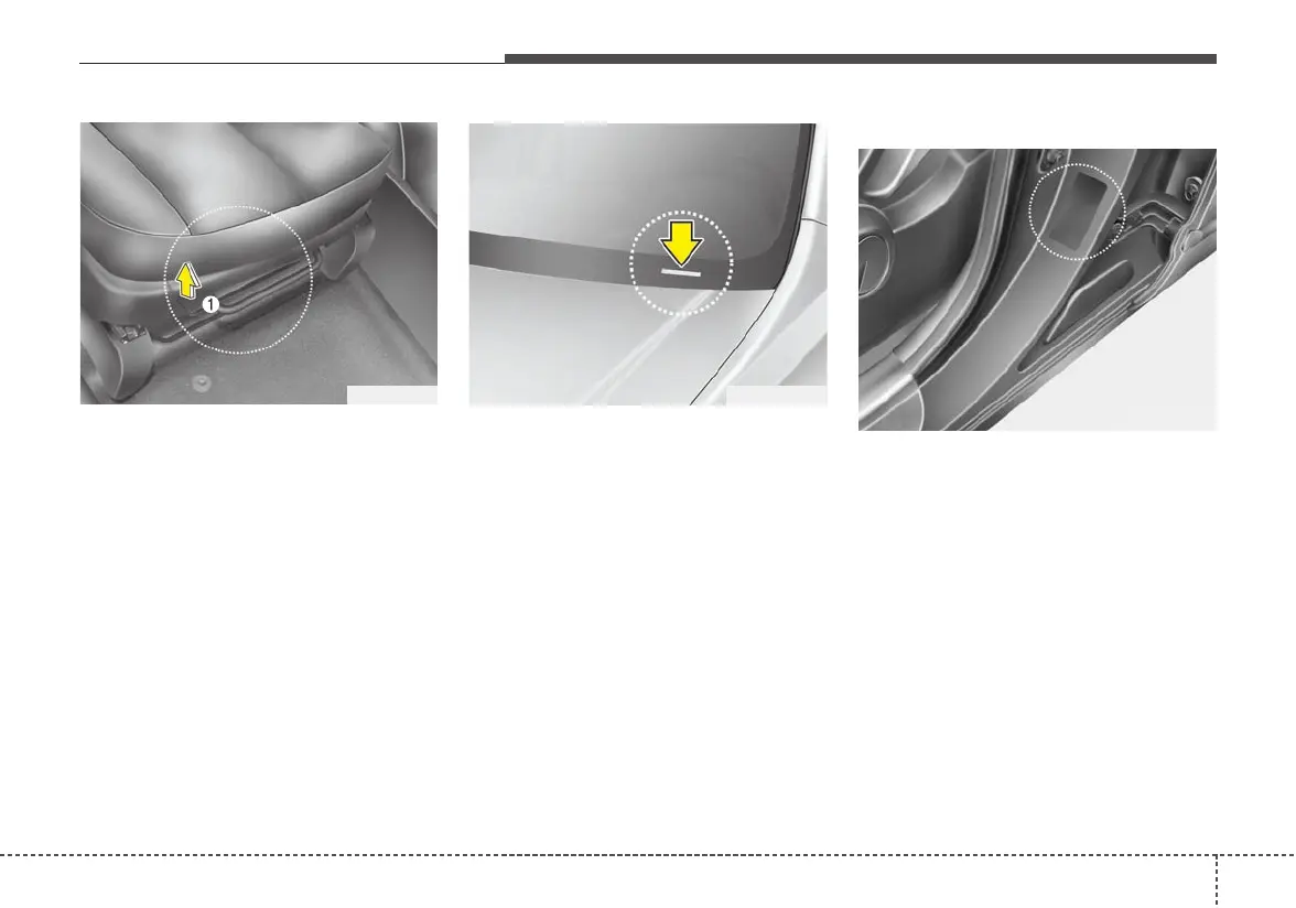 Page #497 background image