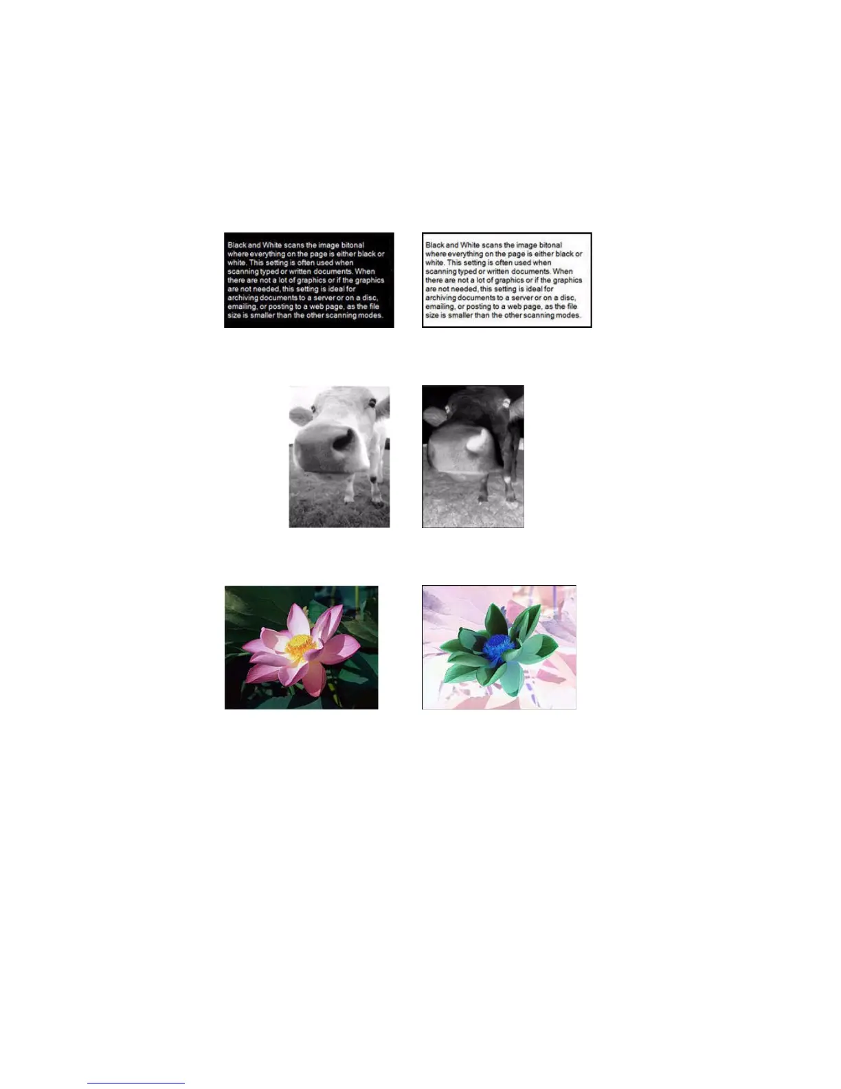 Page #62 background image