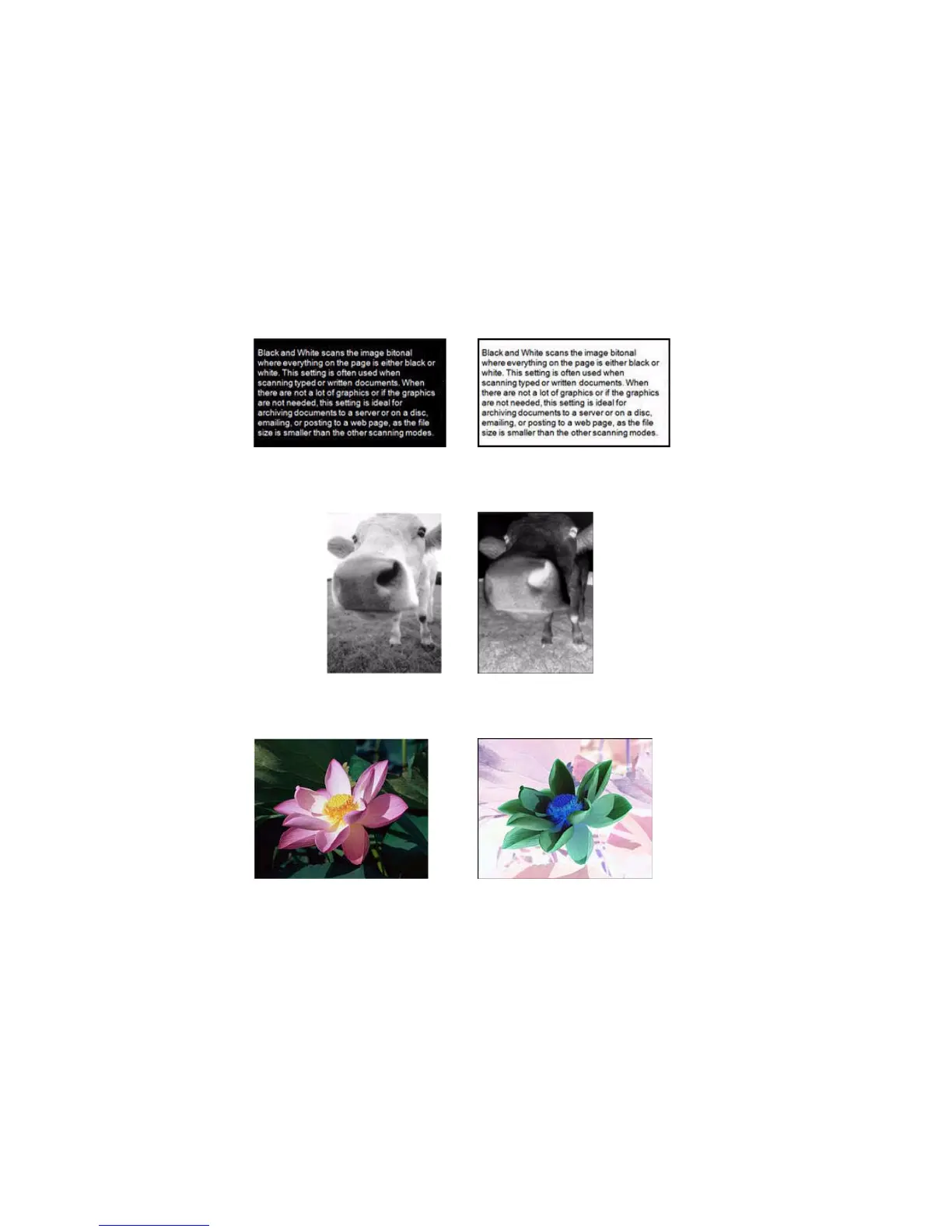 Page #177 background image