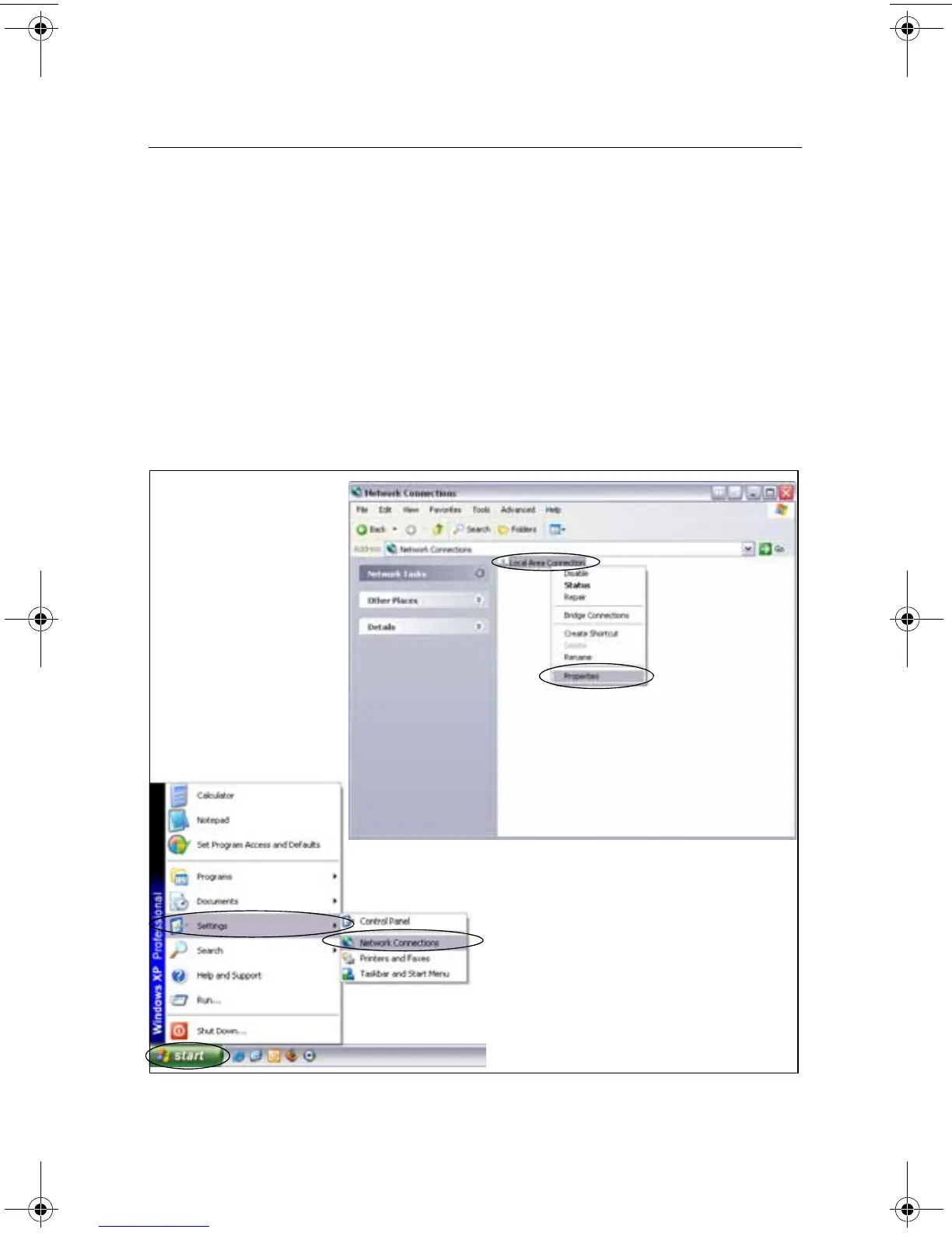 Page #3 background image