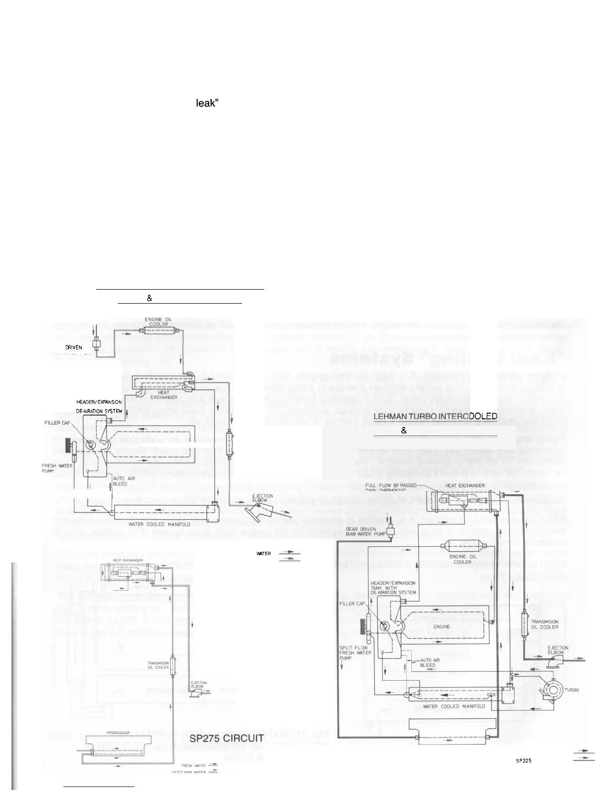 Page #11 background image