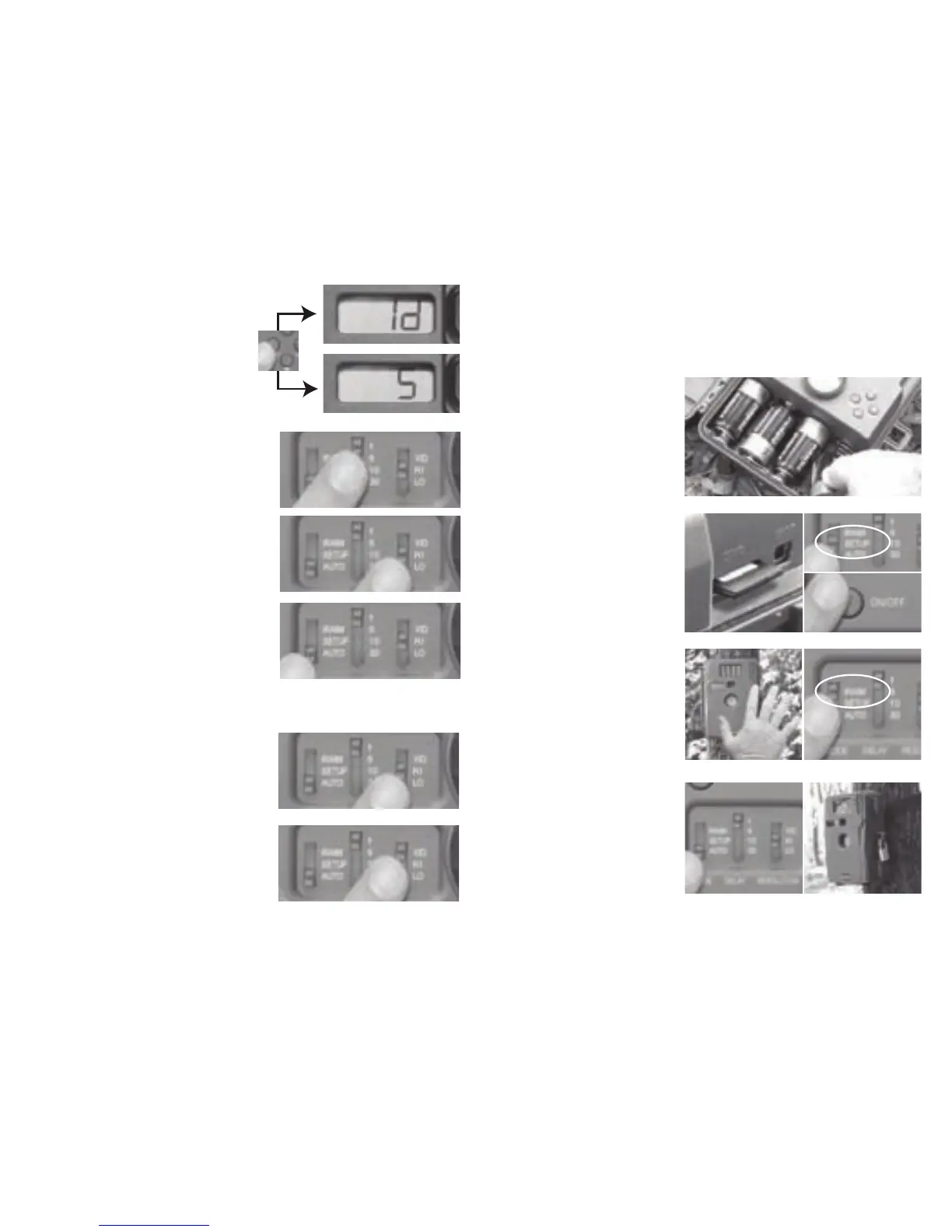 Page #4 background image