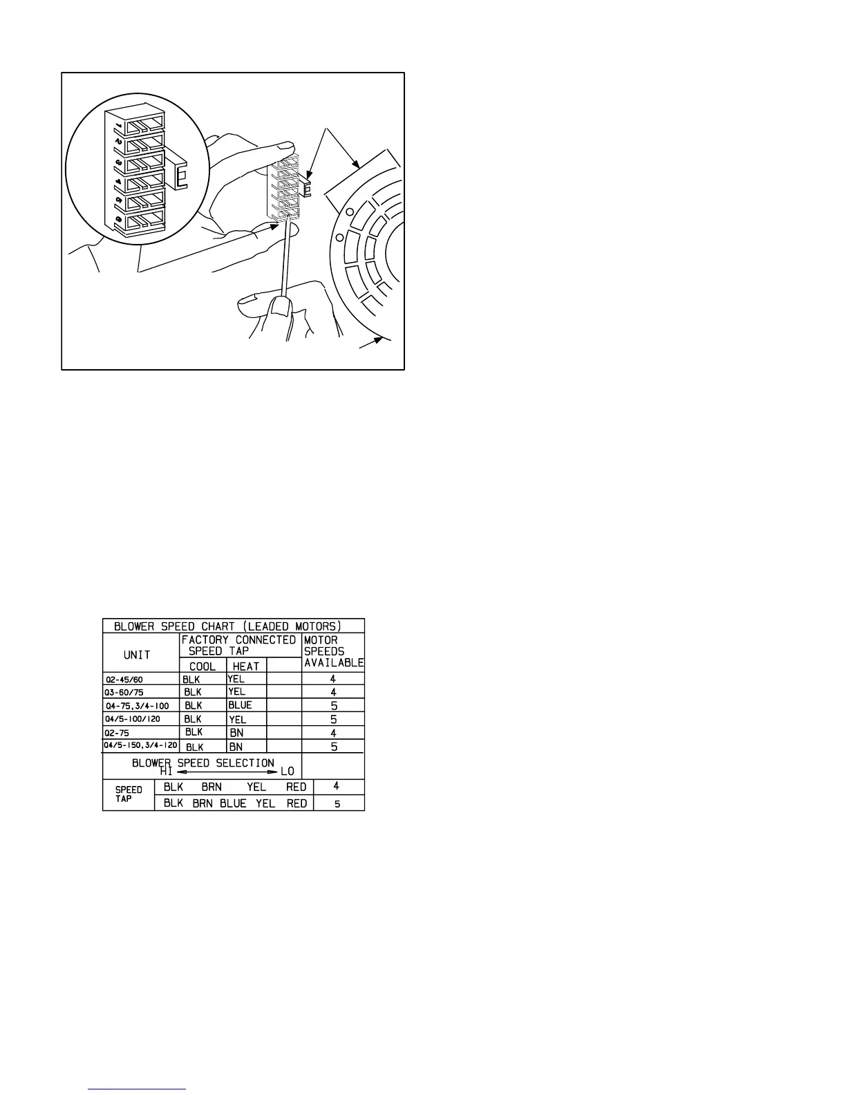 Page #19 background image