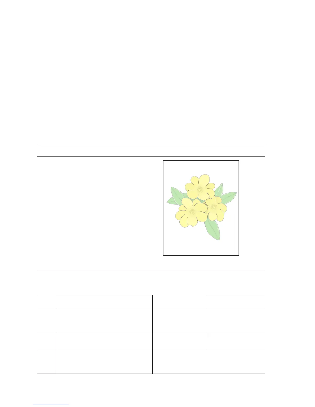 Page #221 background image