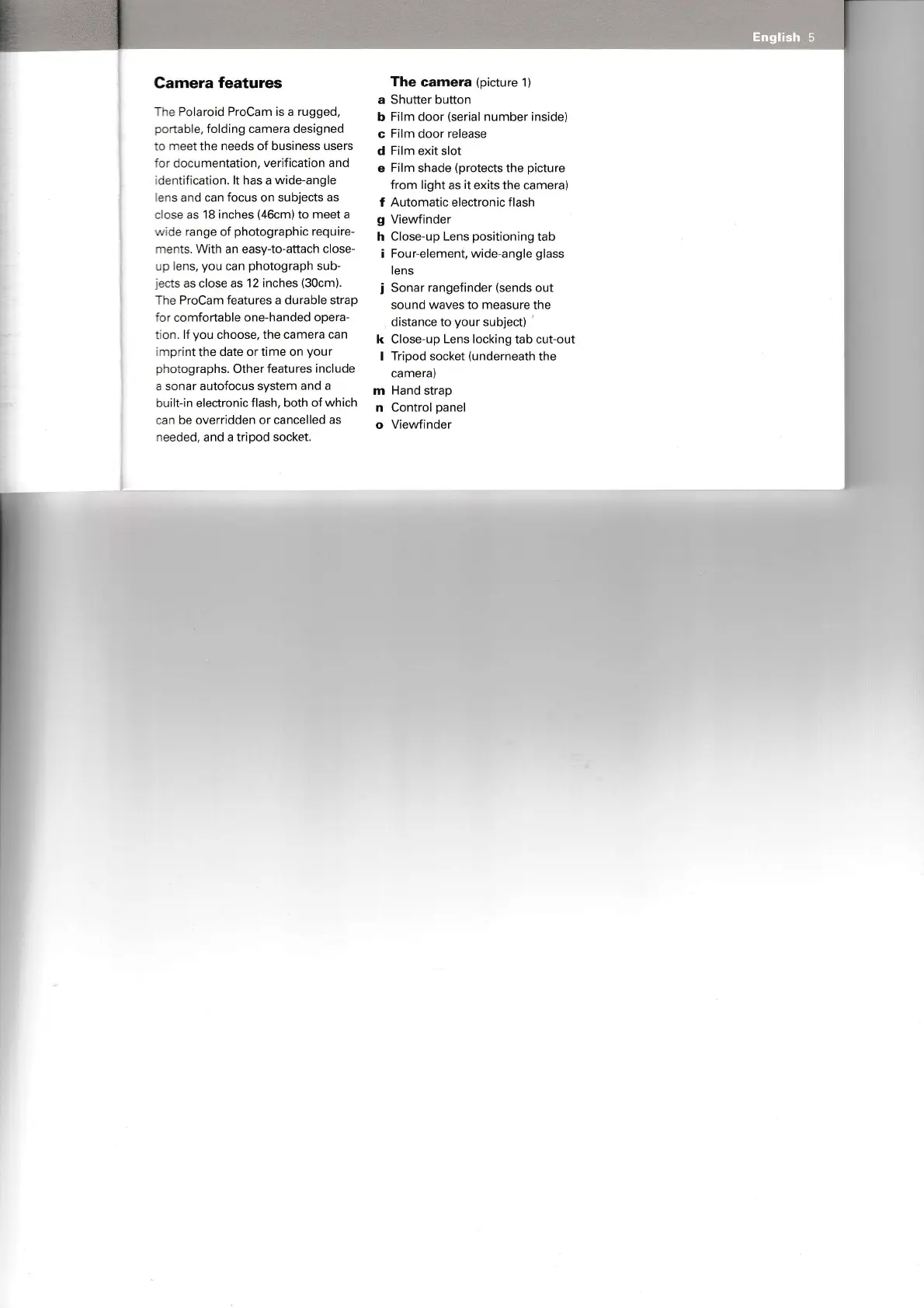 Page #3 background image
