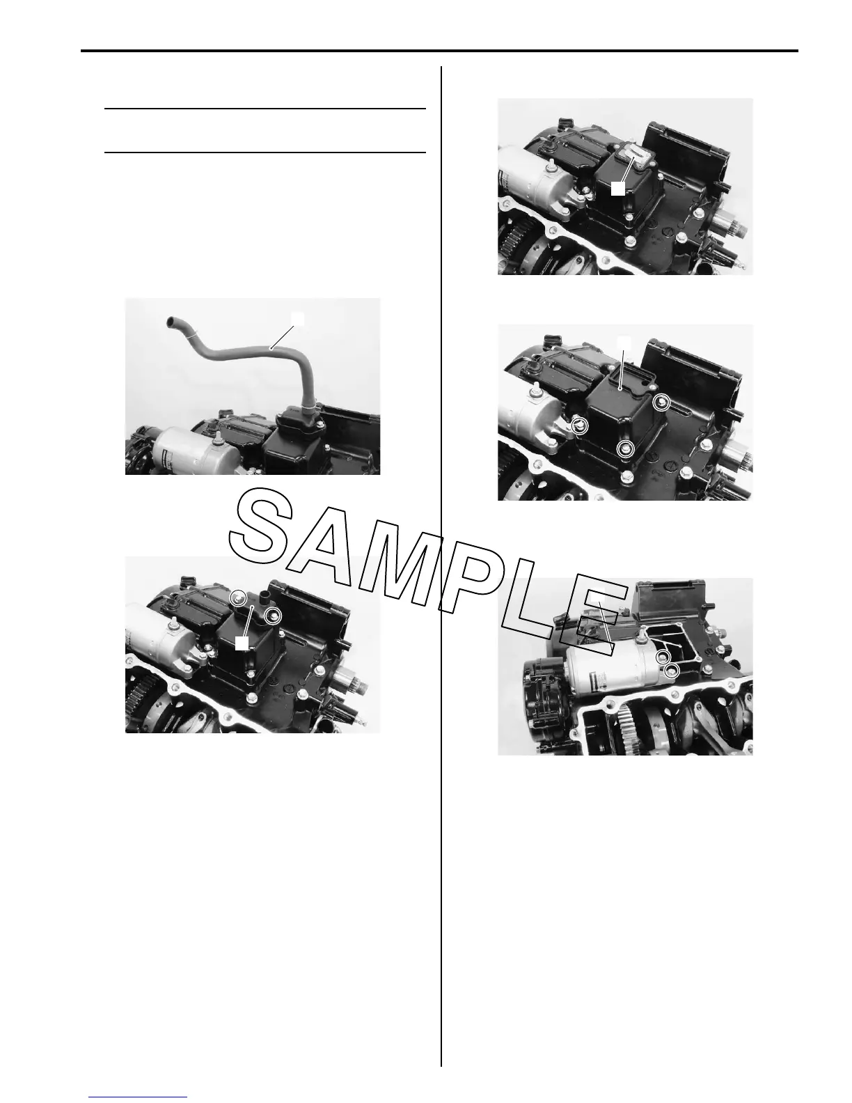 Page #300 background image