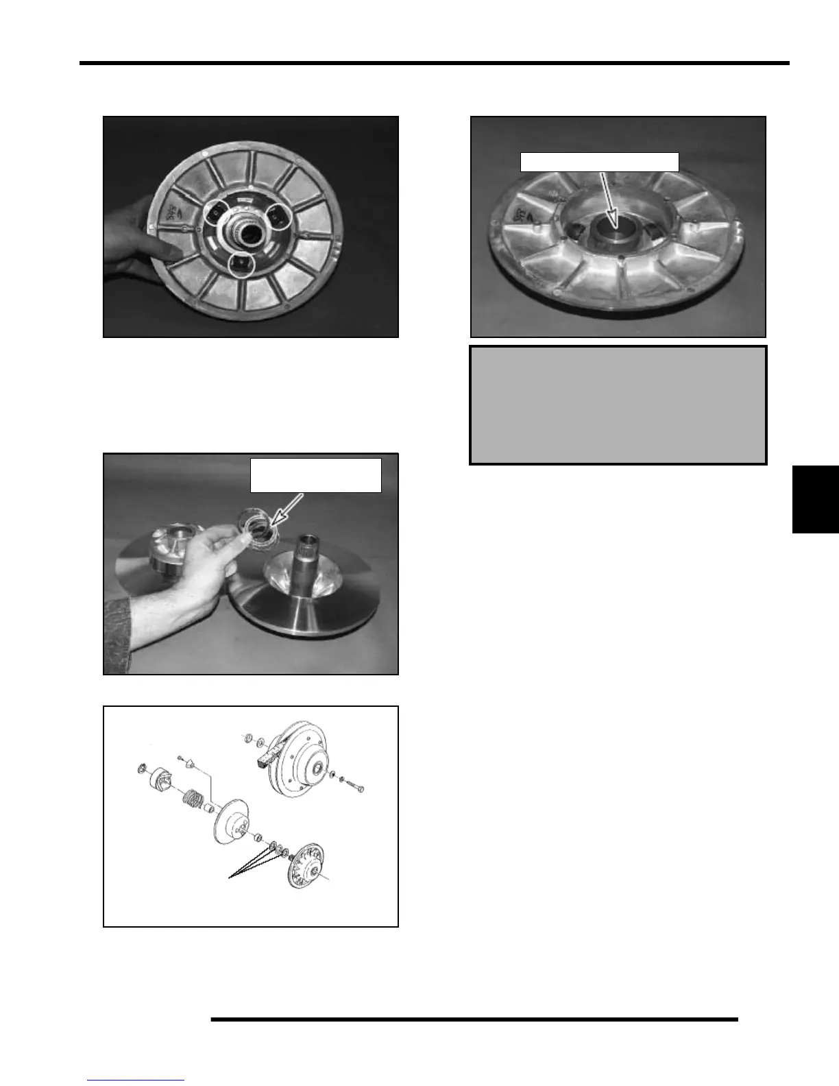 Page #243 background image