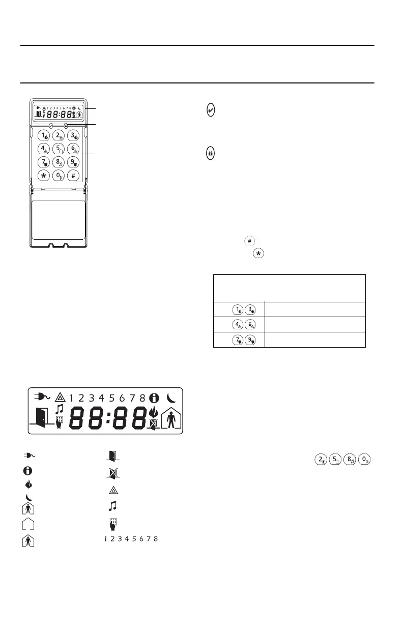 Page #3 background image