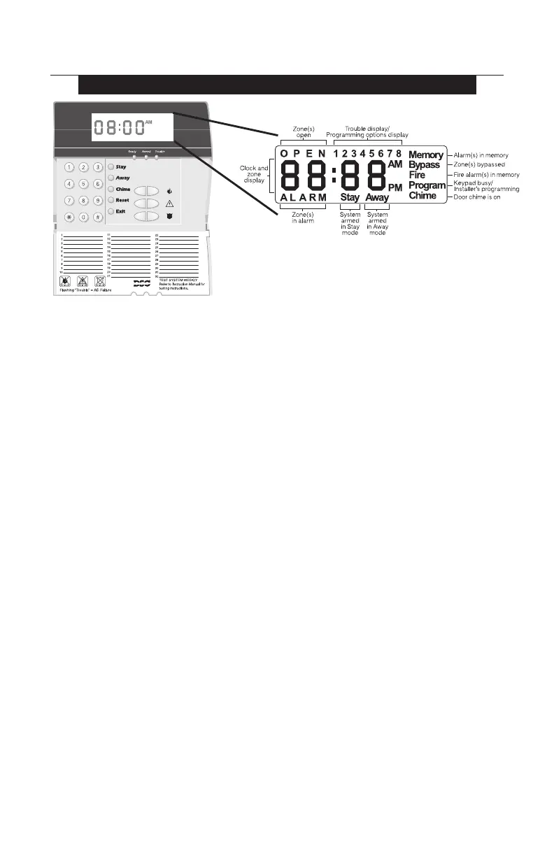 Page #4 background image