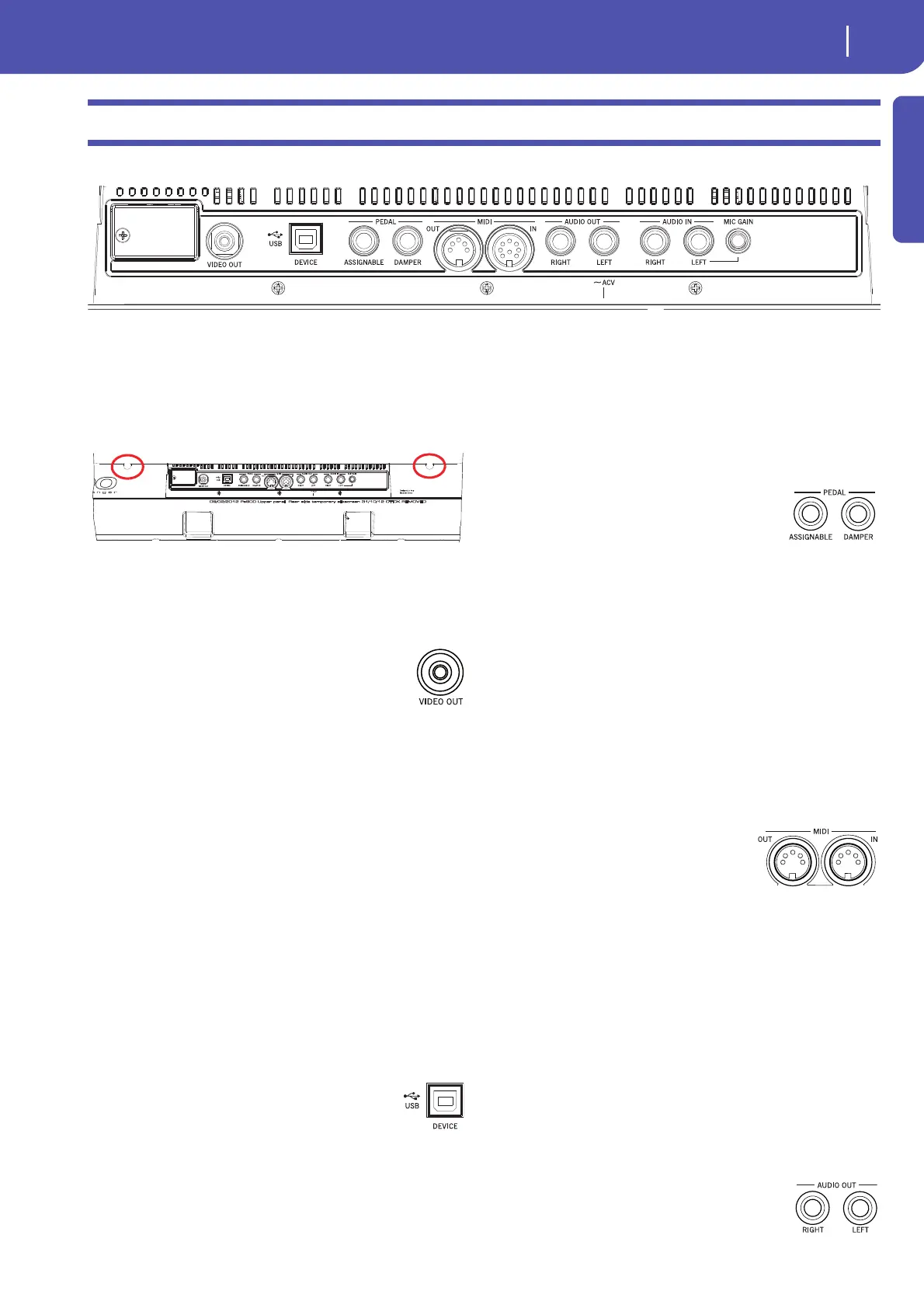 Page #23 background image