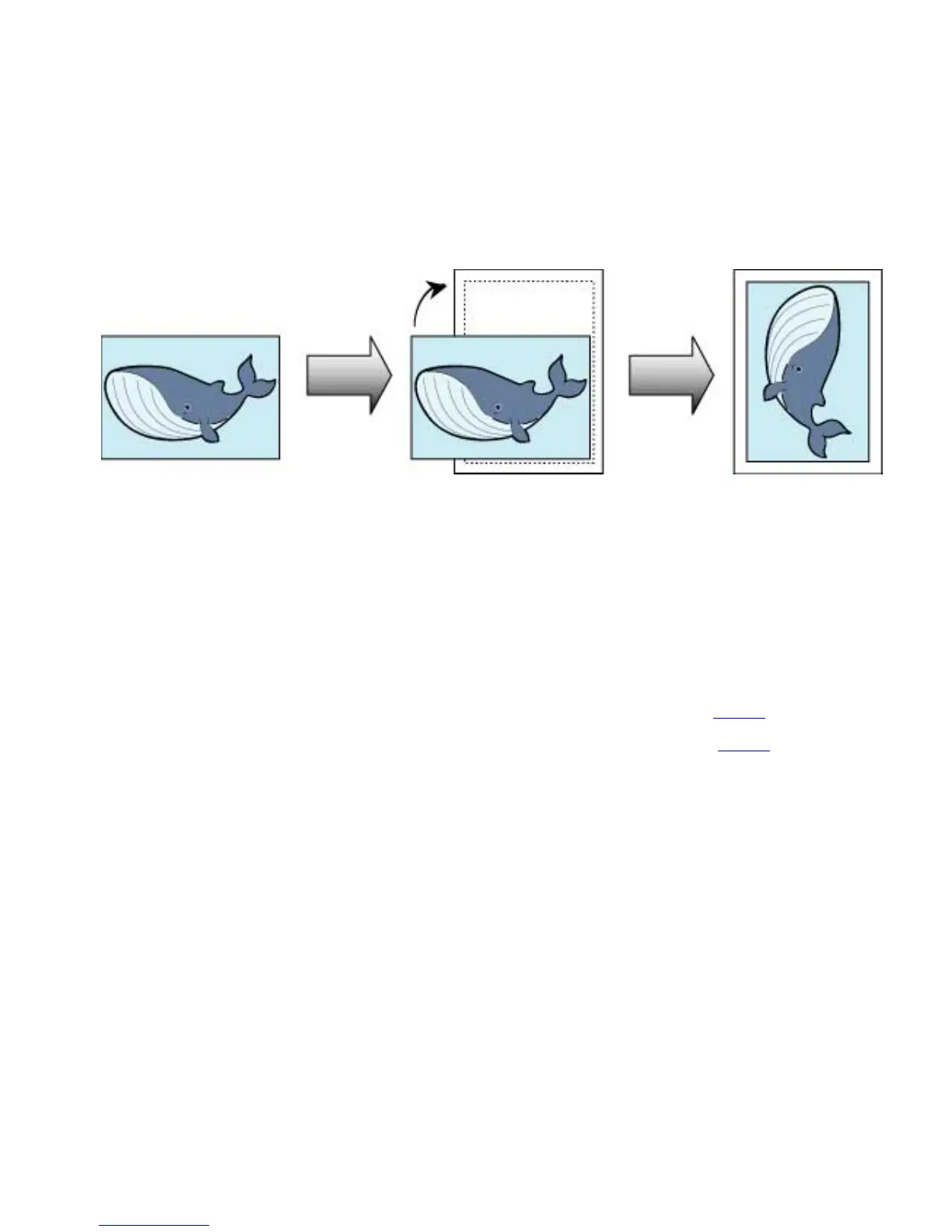 Page #263 background image